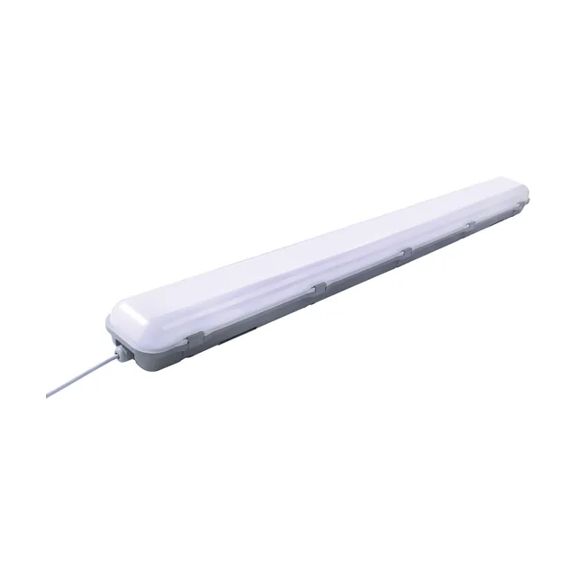 Notstromleuchte IP65